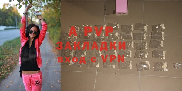 индика Новокубанск