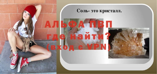 индика Новокубанск