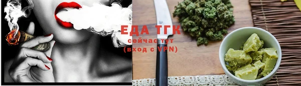 индика Новокубанск
