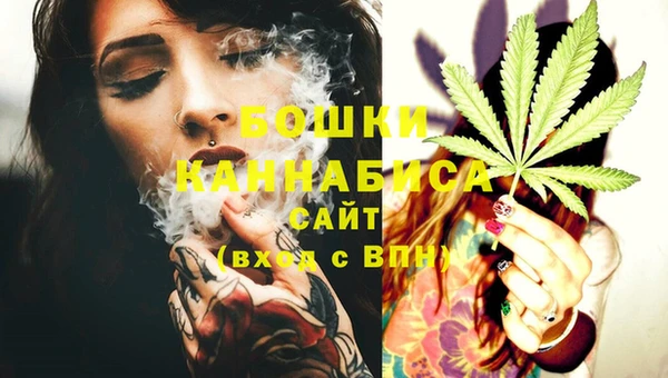 индика Новокубанск