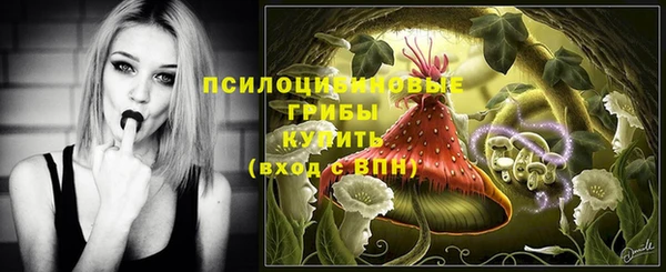 марки lsd Новодвинск