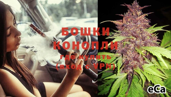 индика Новокубанск