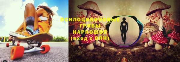 индика Новокубанск