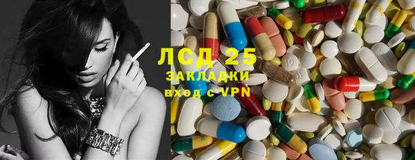 индика Новокубанск