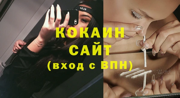 индика Новокубанск